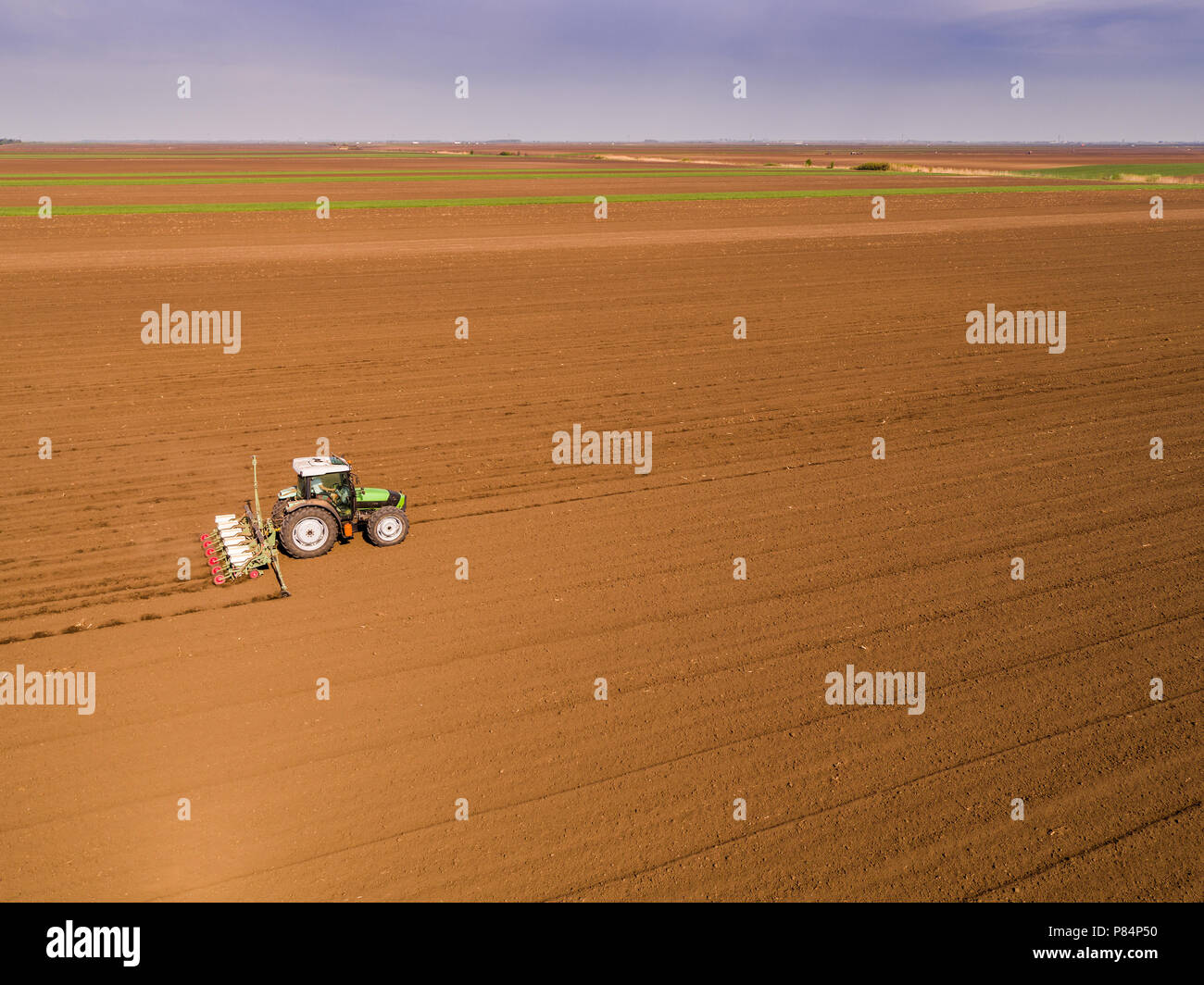 Aerial shot of a farmer seeding, sowing crops at field. Sowing is the ...