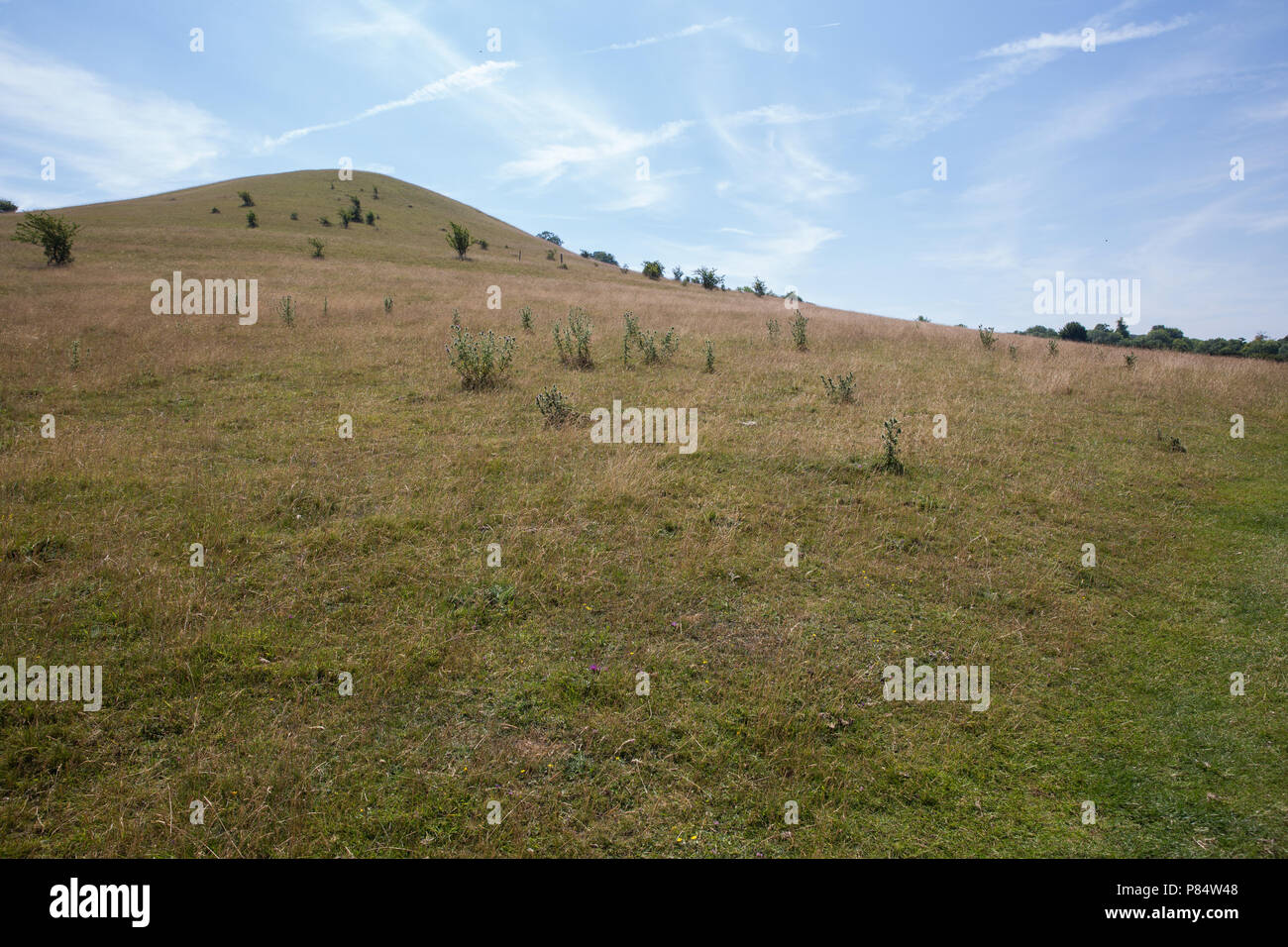 Ellesborough, UK. 6th July, 2018. A view of Beacon Hill, a steep-sided chalk hill forming part of the Chequers estate. Stock Photo