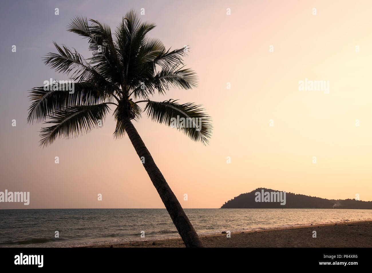 Silhouette of a palm tree on a tropical beach at dusk Stock Photo - Alamy