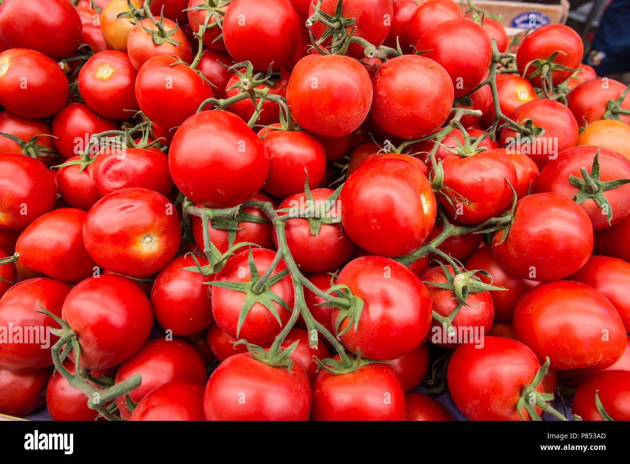 Fresh cherry tomatoes in the market Stock Photo - Alamy