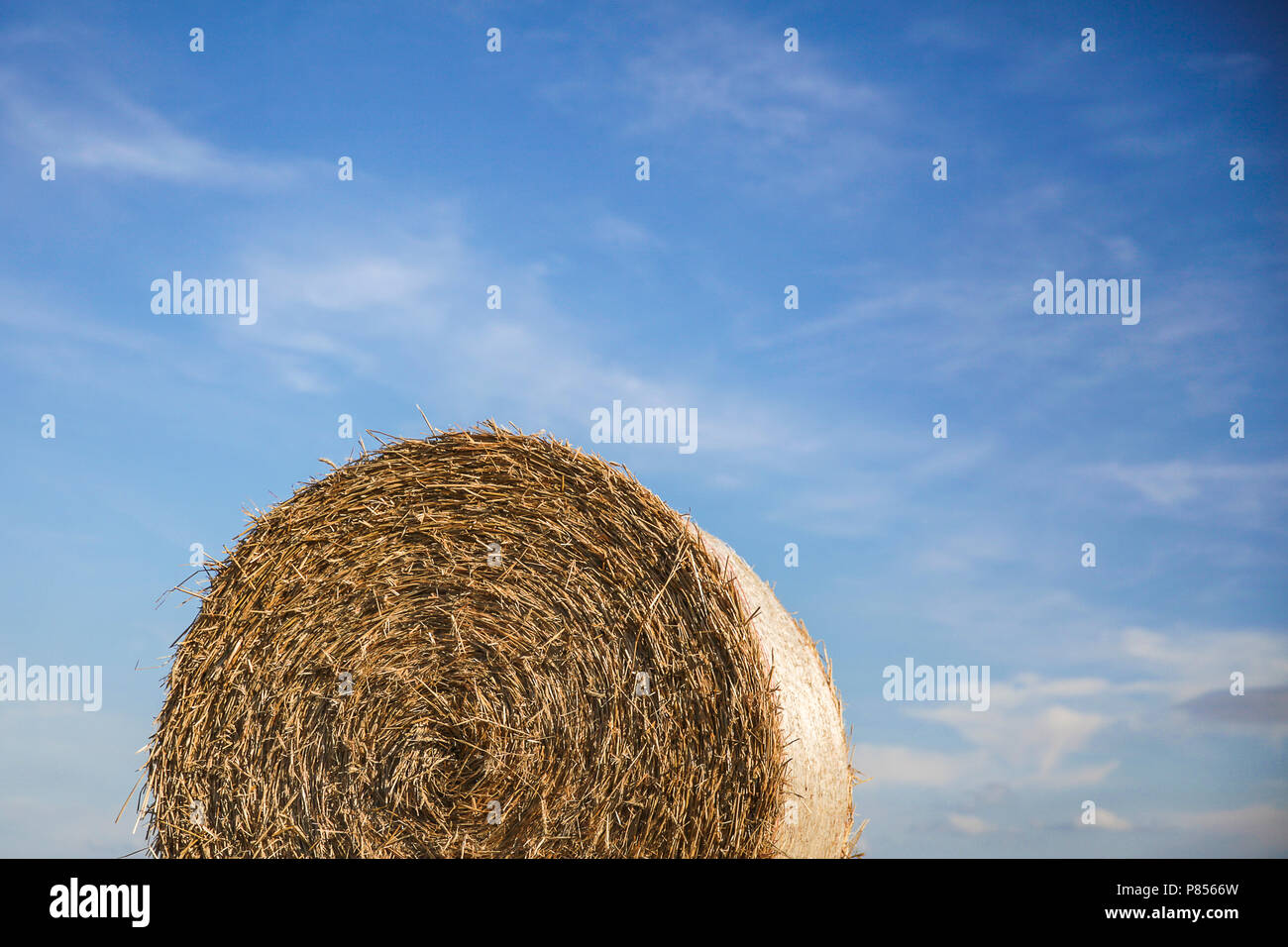 Hay ball against the sky background Stock Photo