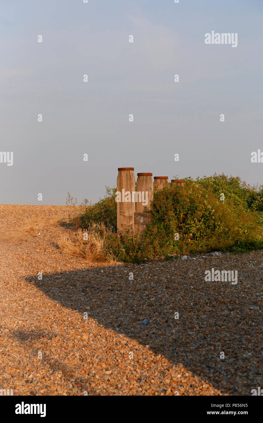 Old wooden posts on Eastbourne beach Stock Photo