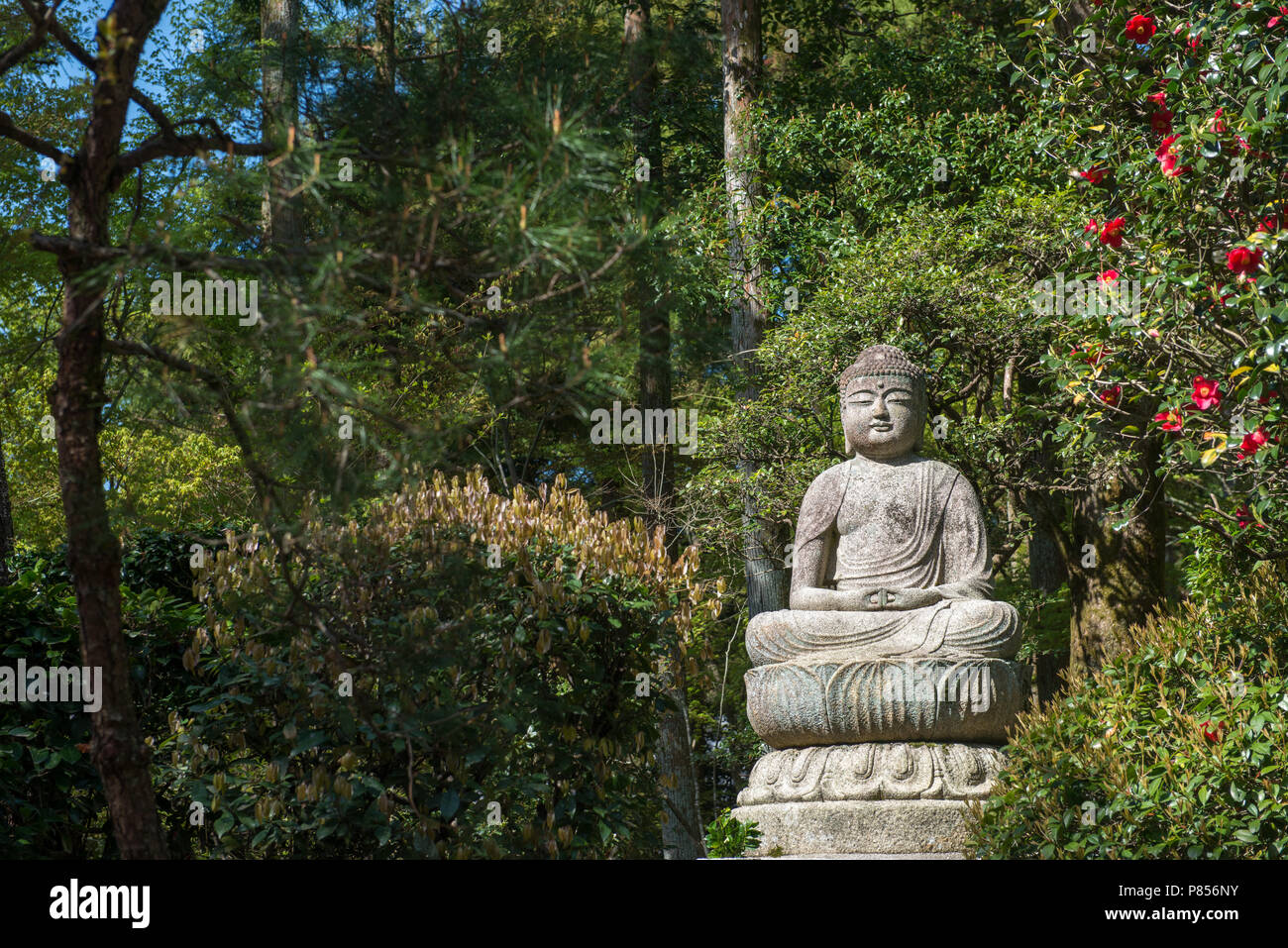 Japanese Buddha statue in a temple garden in Kyoto Stock Photo