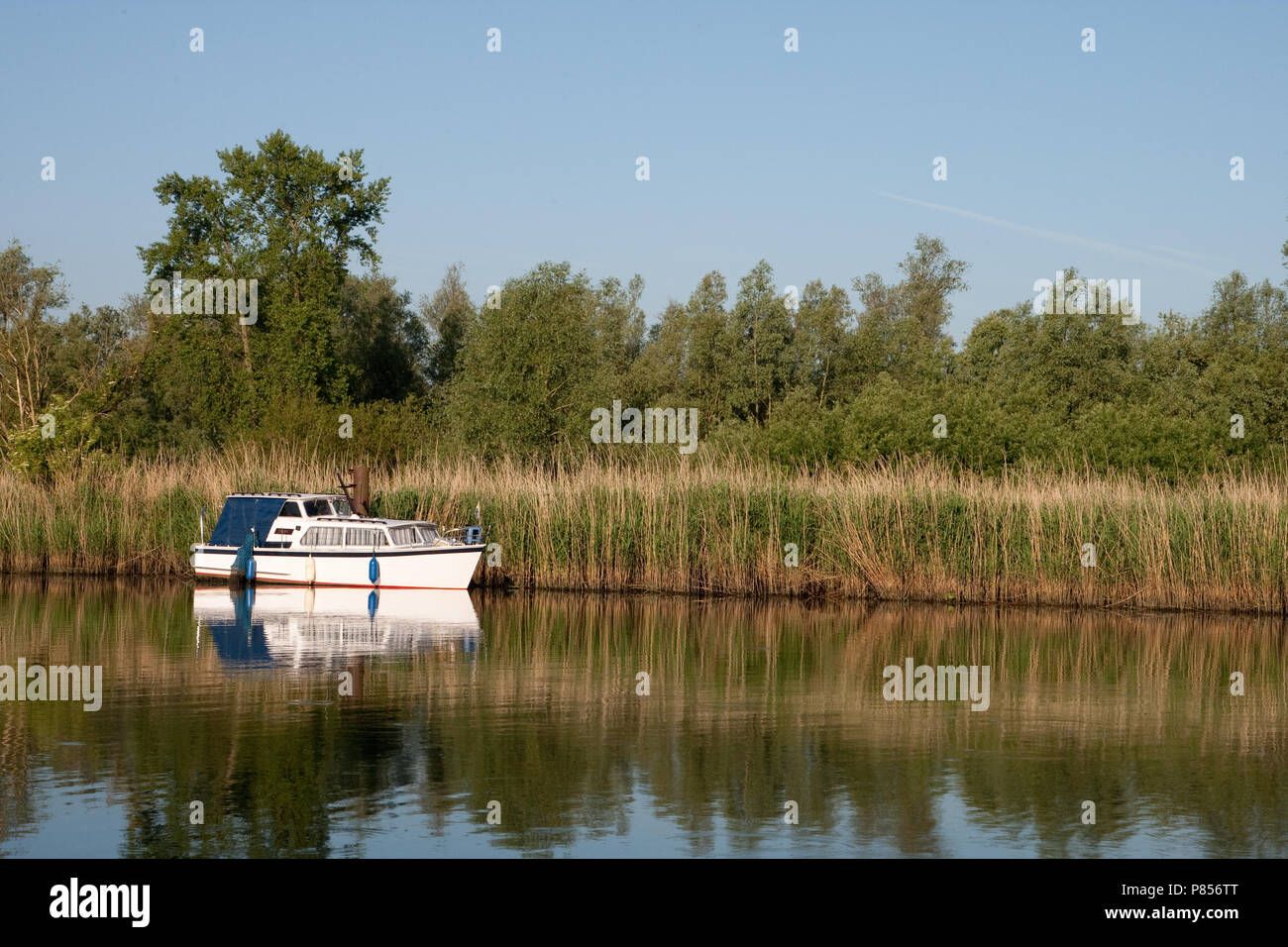 Pleziervaart in de Brabantse Biesbosch; Yachts in the Brabantse Biesbosch Stock Photo