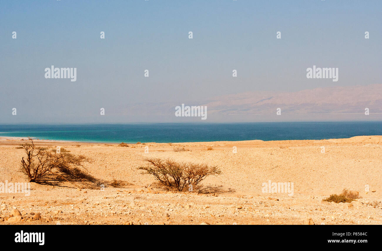 Dode zee, Israel; Dead Sea, Israel Stock Photo