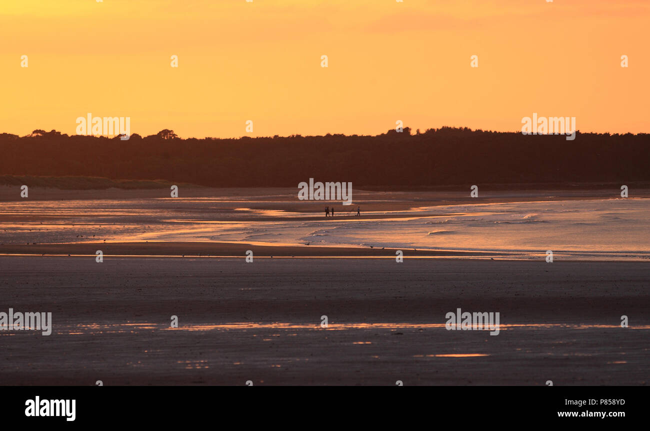Zonsondergand in Dunbar; Sunset at Dunbar Stock Photo