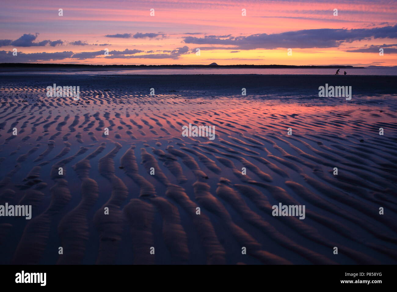 Dunbar beach hires stock photography and images Alamy