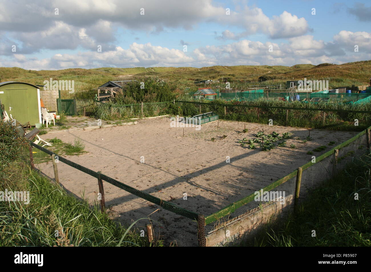 Dunes of Six coastal village Egmond aan Zee Netherlands; Duinen van Six kustdorp Egmond aan Zee