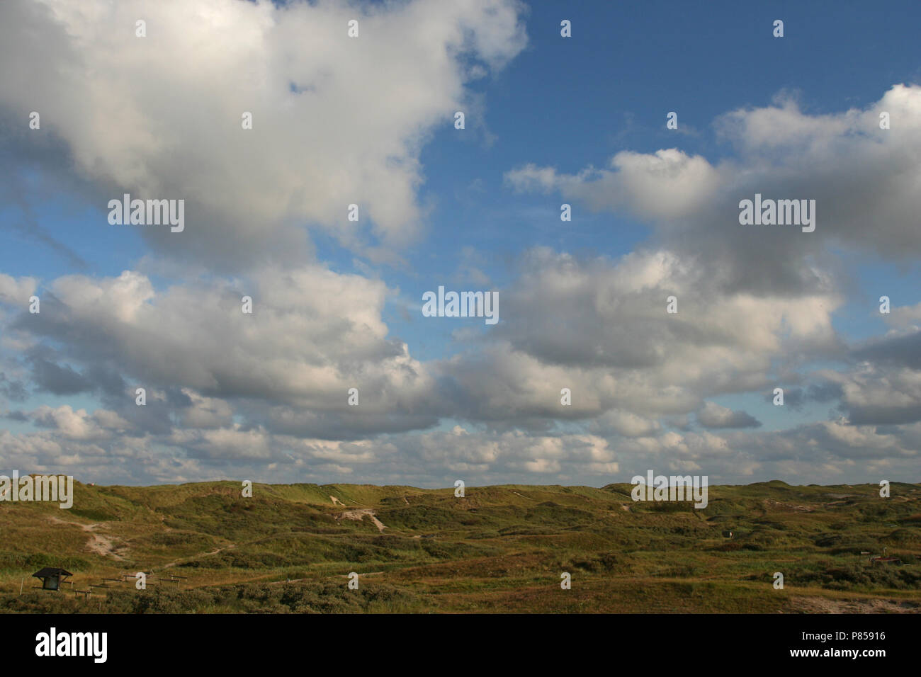 Dunes of Six coastal village Egmond aan Zee Netherlands; Duinen van Six kustdorp Egmond aan Zee