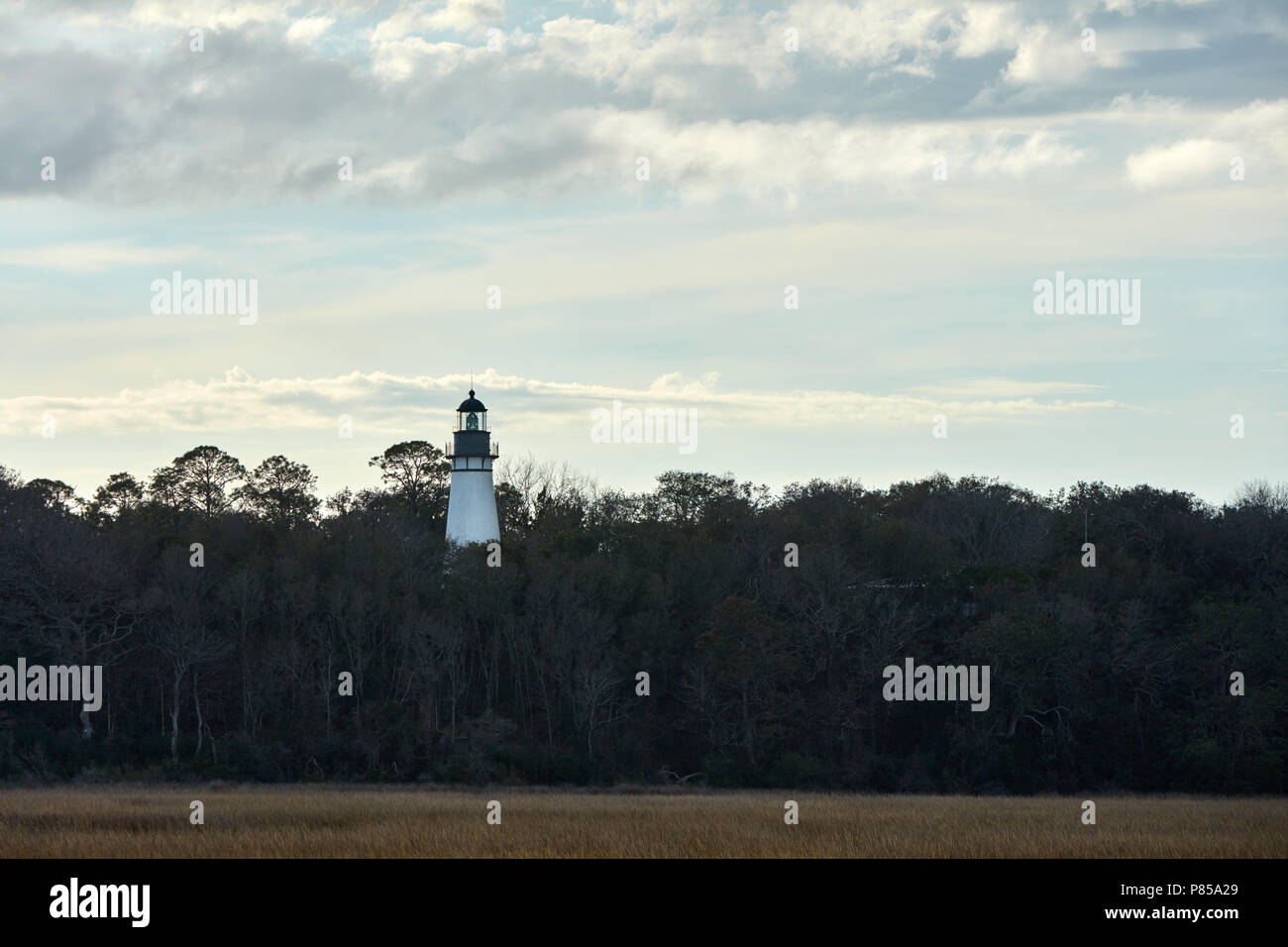 Amelia Island lighthouse protruding above the trees Stock Photo