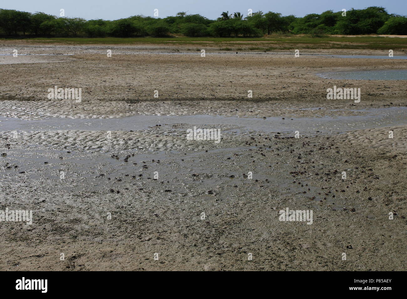 NP Langue de Barbarie at low tide Senegal, NP Langue de Barbarie bij laagwater Senegal Stock Photo