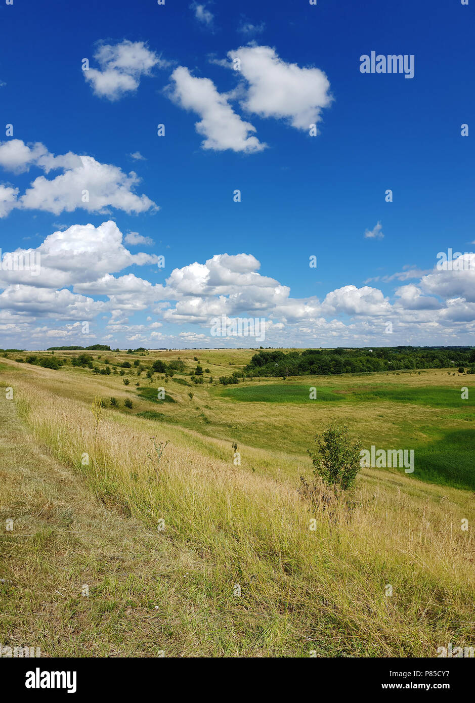 beautiful summer landscape in Russia Stock Photo - Alamy
