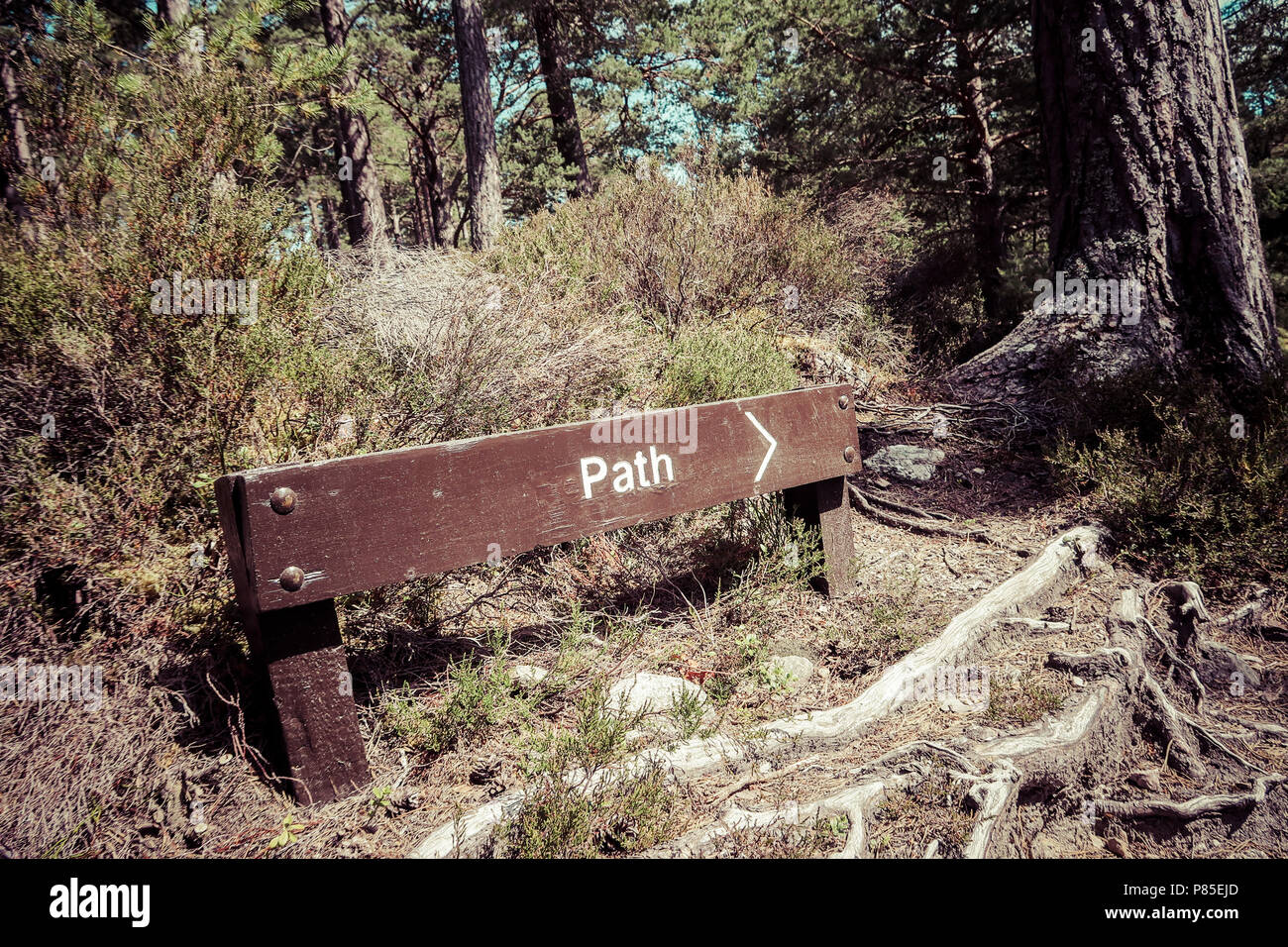 Wooden pathway sign on footpath Stock Photo