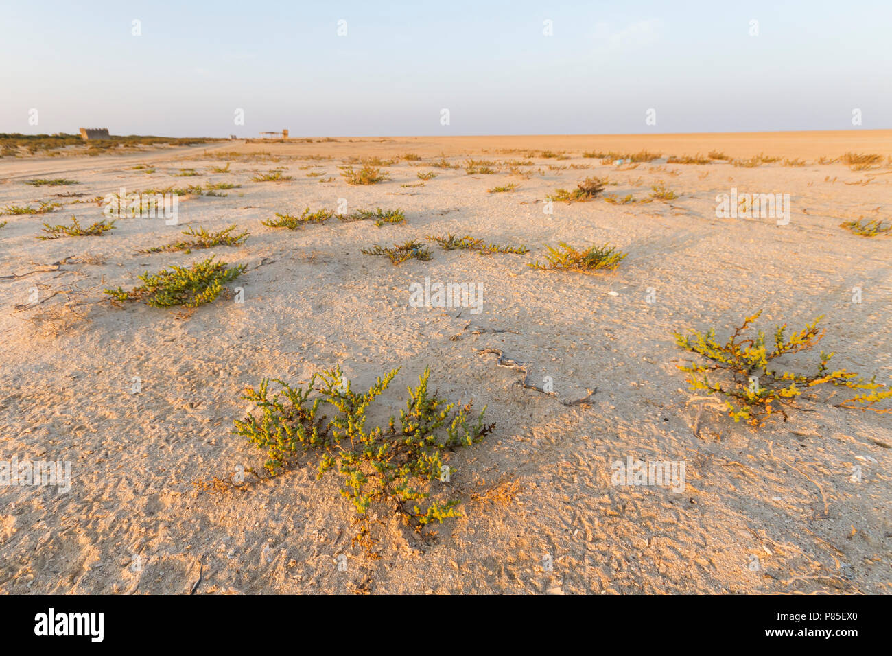 Barr al Hikman, Oman Stock Photo