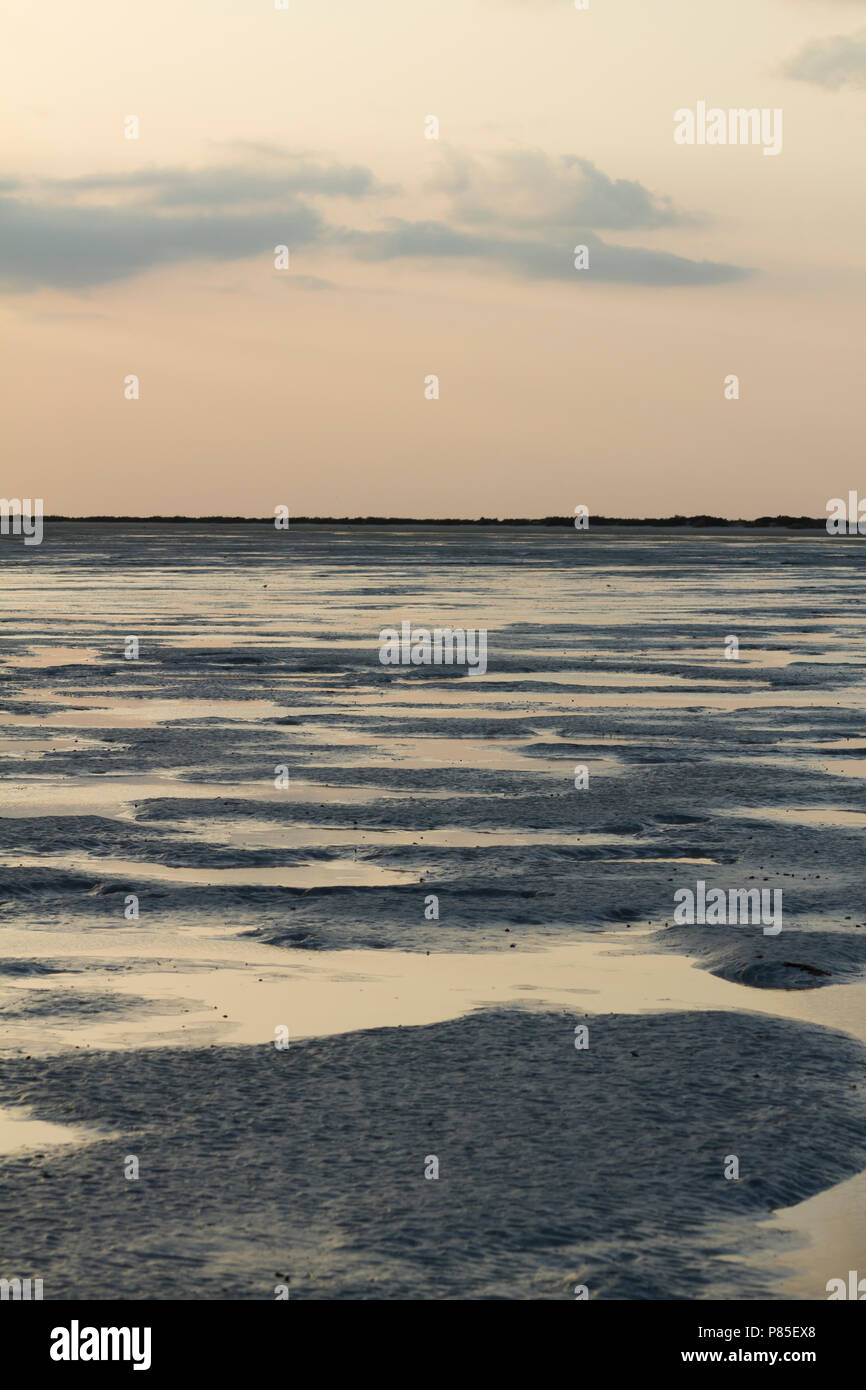 barr-al-hikman-hi-res-stock-photography-and-images-alamy