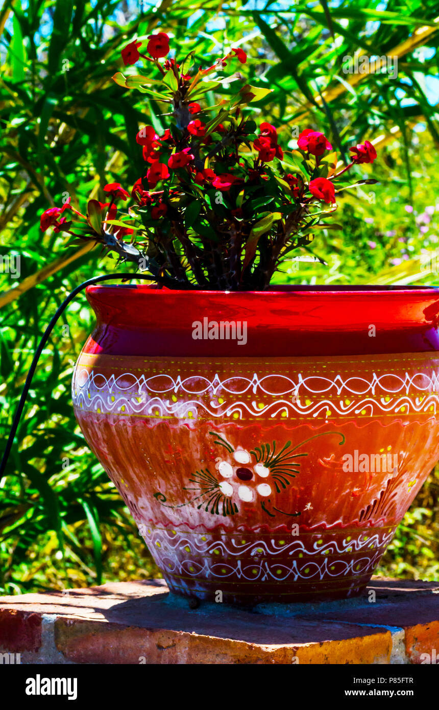 beautiful ceramic flower pot on a pedestal with flowers, decoration of urban space, outdoor