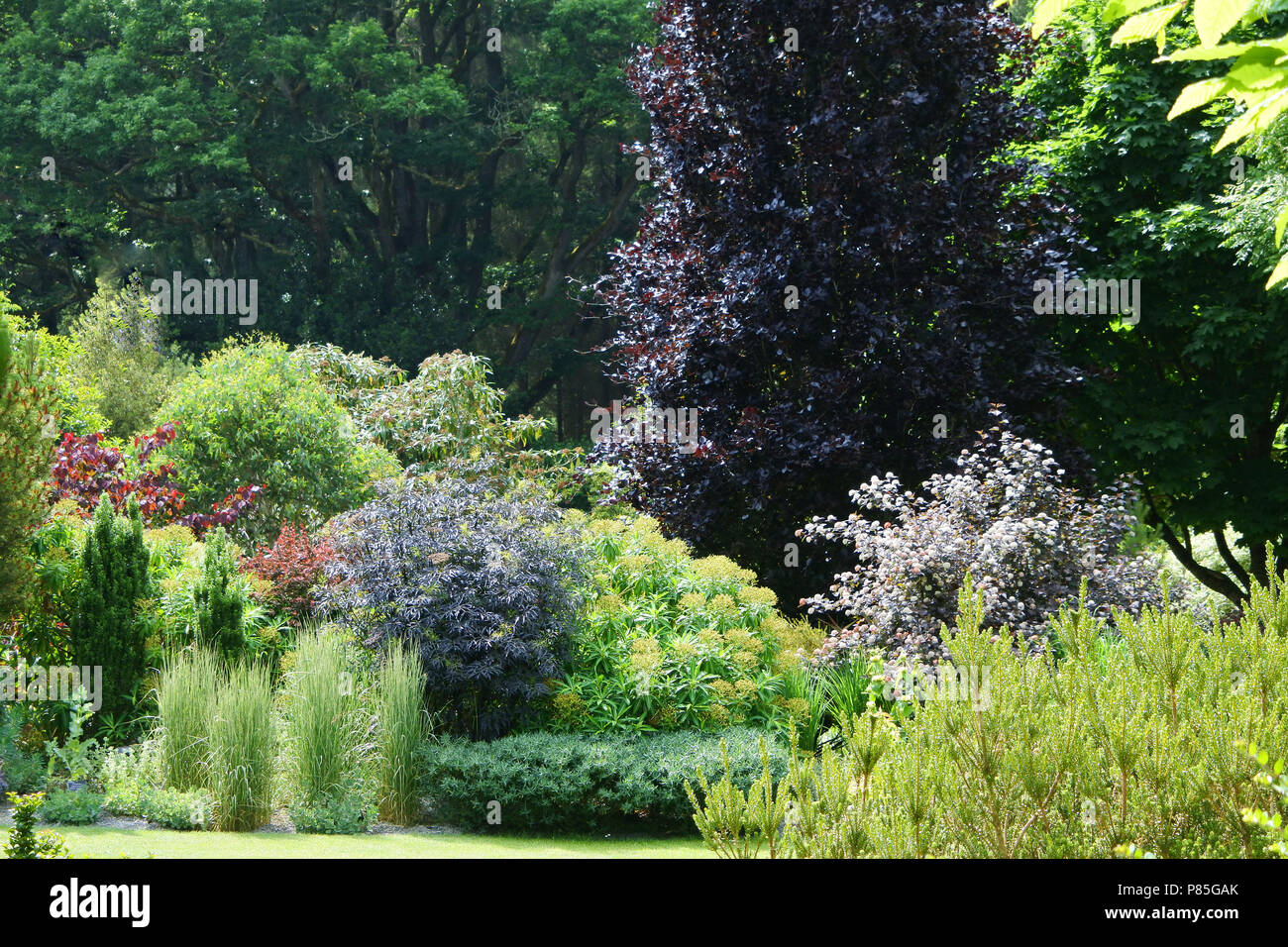 A classic English garden, RHS Rosemoor, Devon, UK - John Gollop Stock Photo