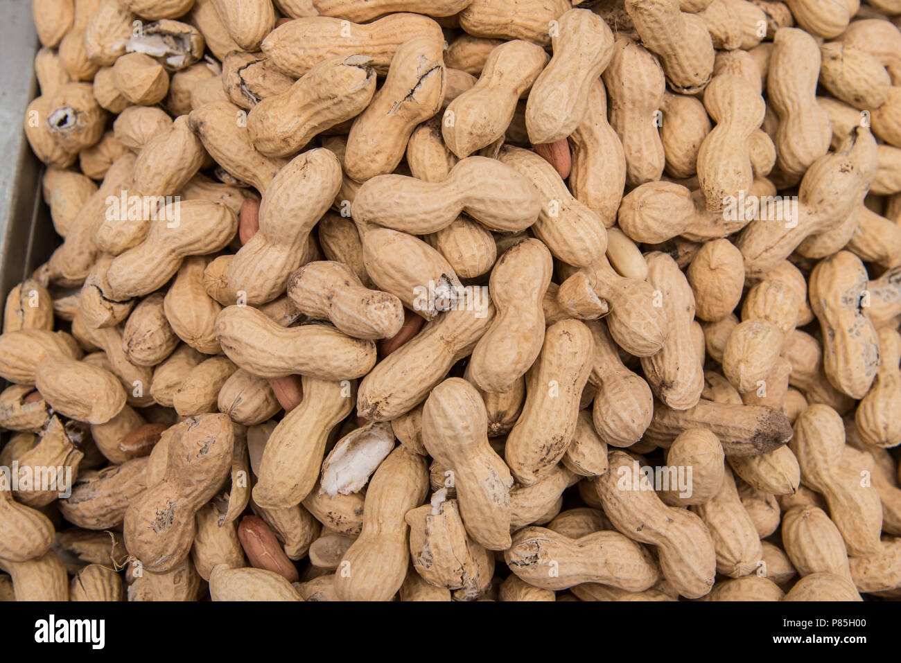 Peanuts in shell Stock Photo Alamy