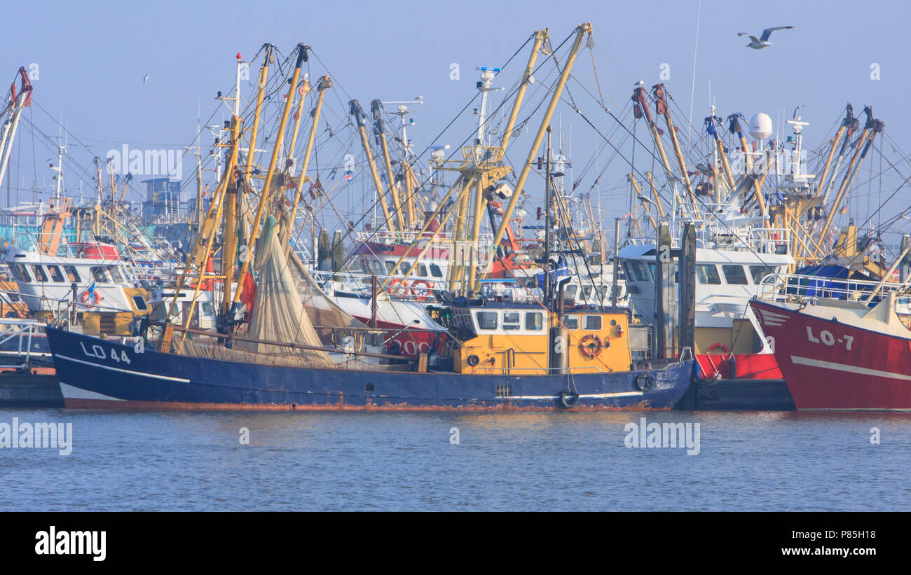 Vissersboten in de haven van Lauwersoog, Boats in Harbour Lauwersoog Stock Photo