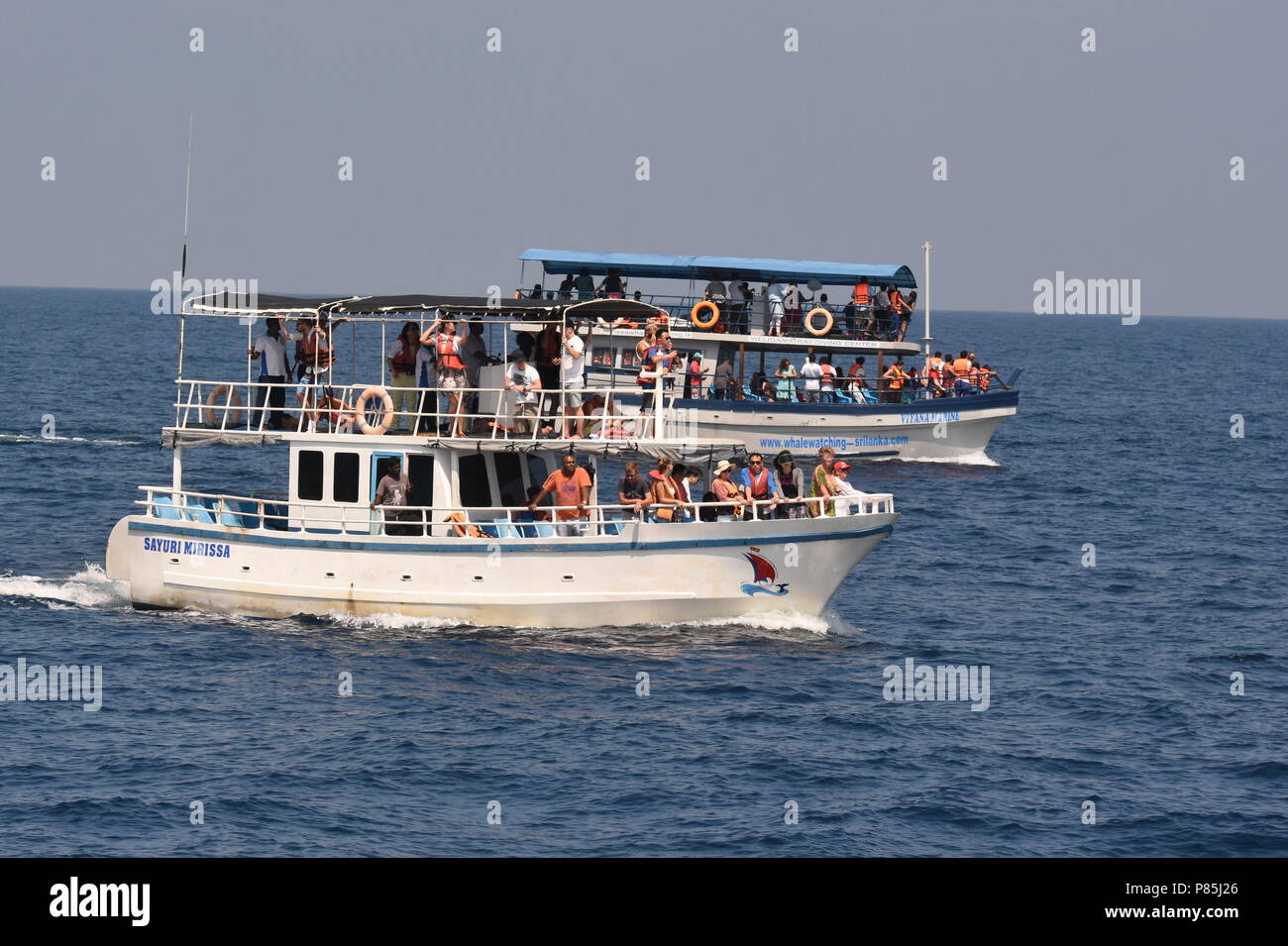 Walviskijkers uit de kust van Sri Lanka; Whale watchers on a ship off the coast of Sri Lanka Stock Photo