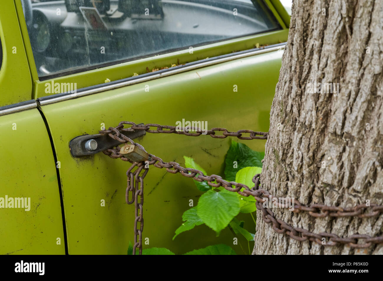 Old Green Car Locked With Chain On A Tree Stock Photo Alamy