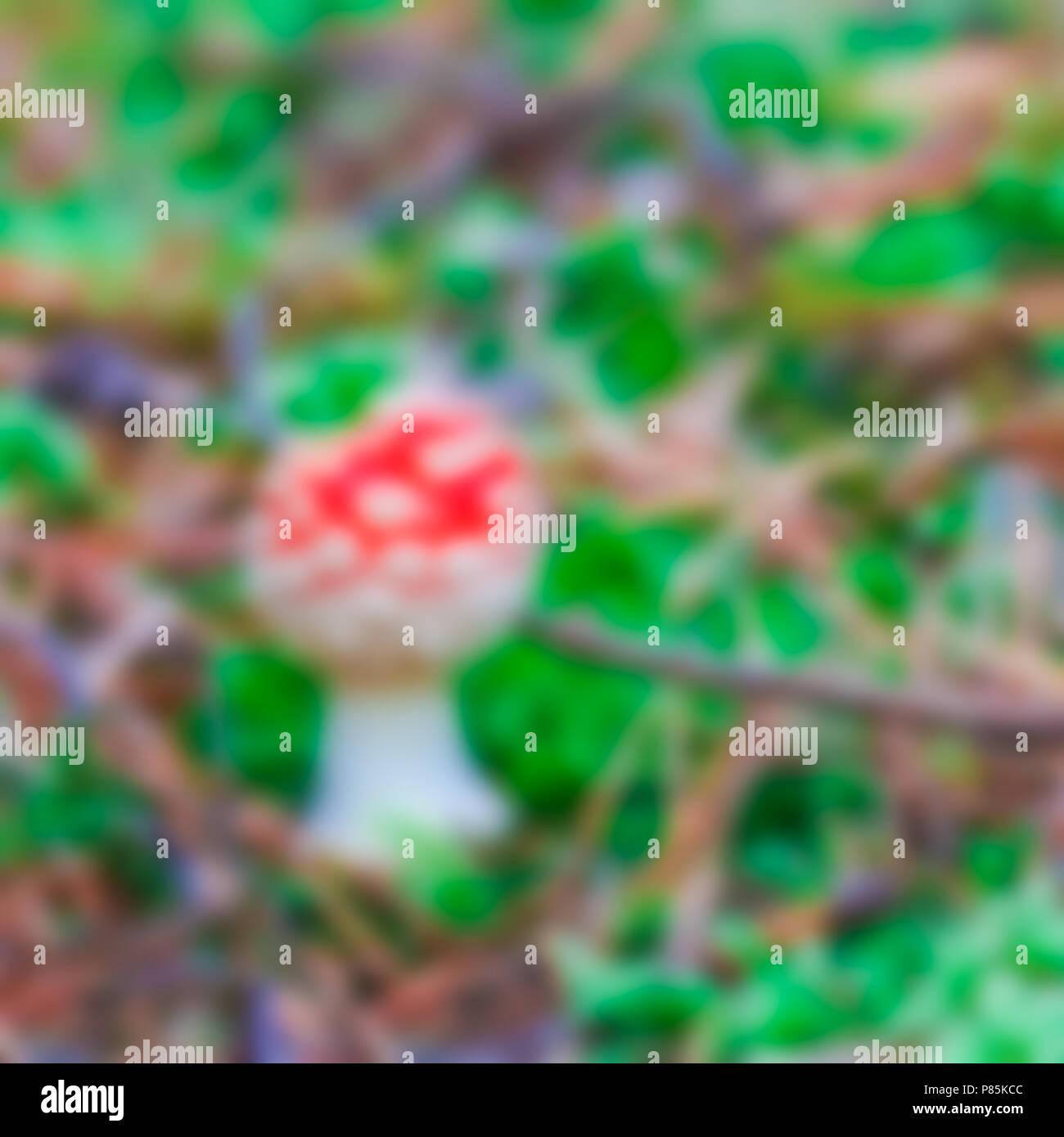 Amanita mushroom- soft lens bokeh image. Defocused background Stock Photo