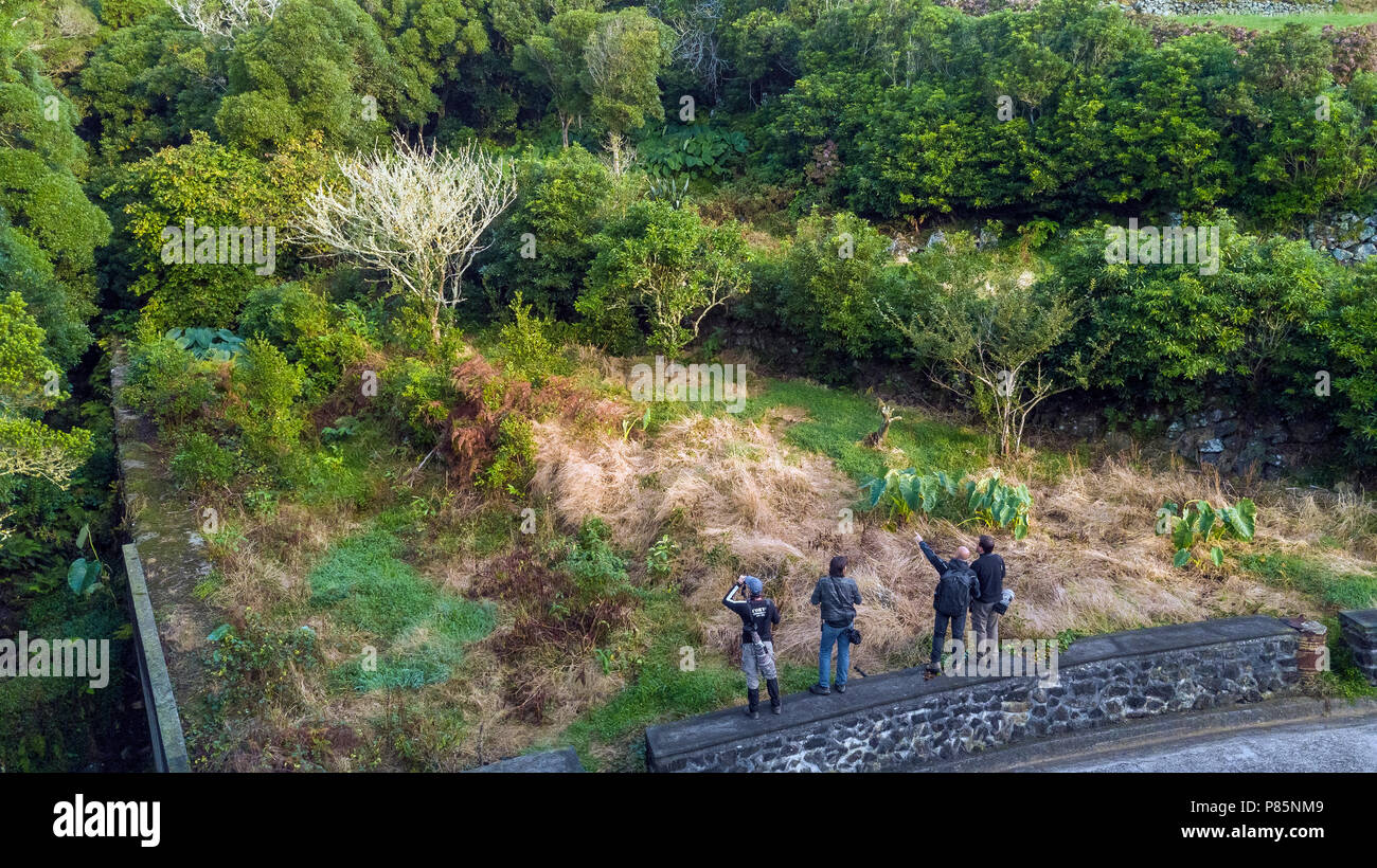 Aerial view of Da Ponte in Corvo, Azores. October 2017. Stock Photo