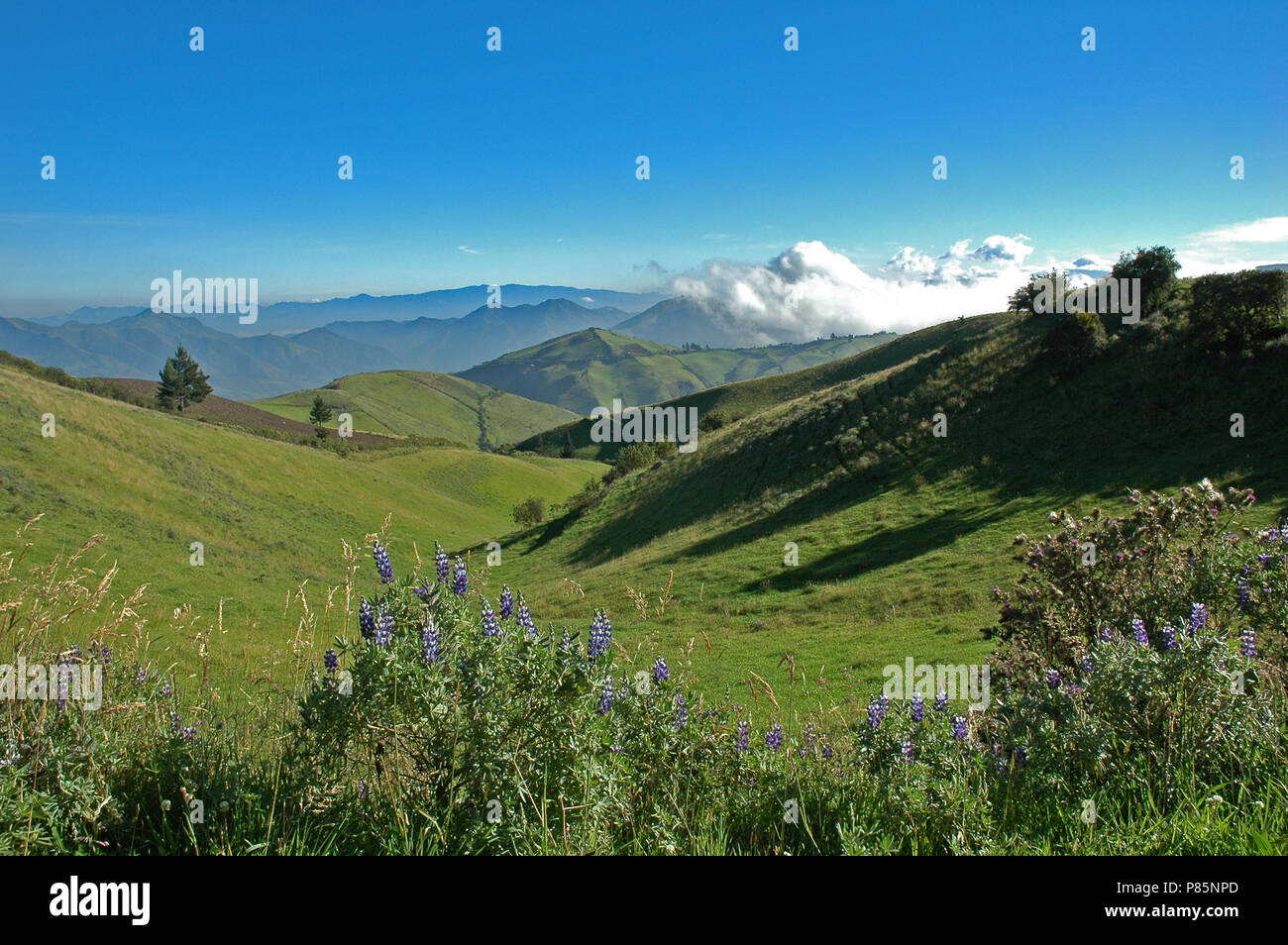 Ecuador en ecuador hi-res stock photography and images - Alamy