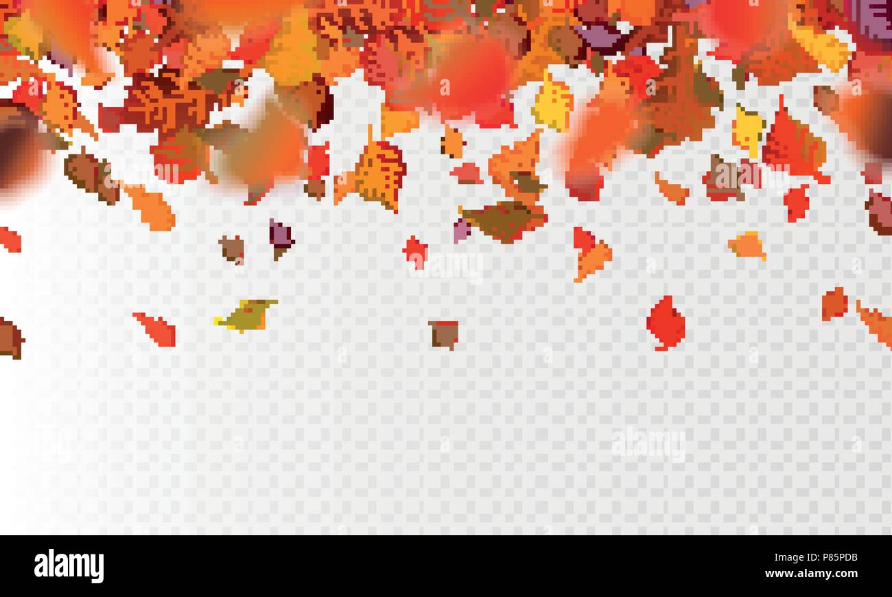 Stock vector illustration autumn falling leaves on transparent ...