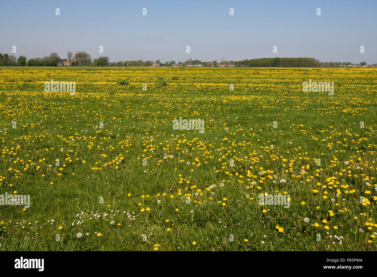 Lauwersmeer in de zomer, Lauwersmeer in summer Stock Photo