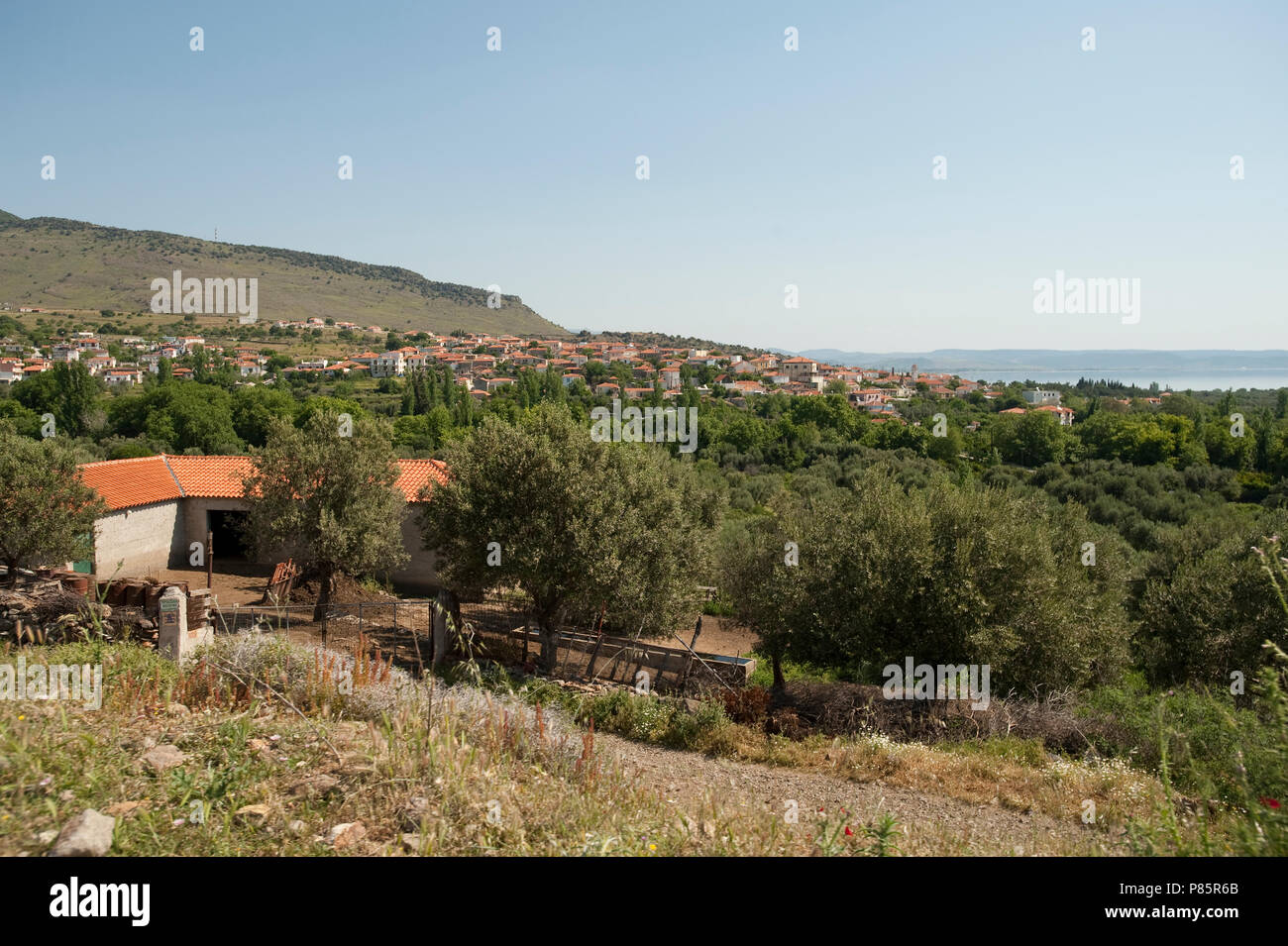 Landscape Lesvos, Greece Stock Photo