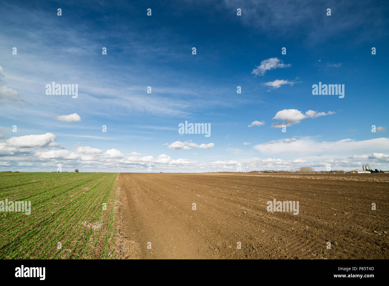 Agricultural landscape, arable crop field. Arable land is the land ...