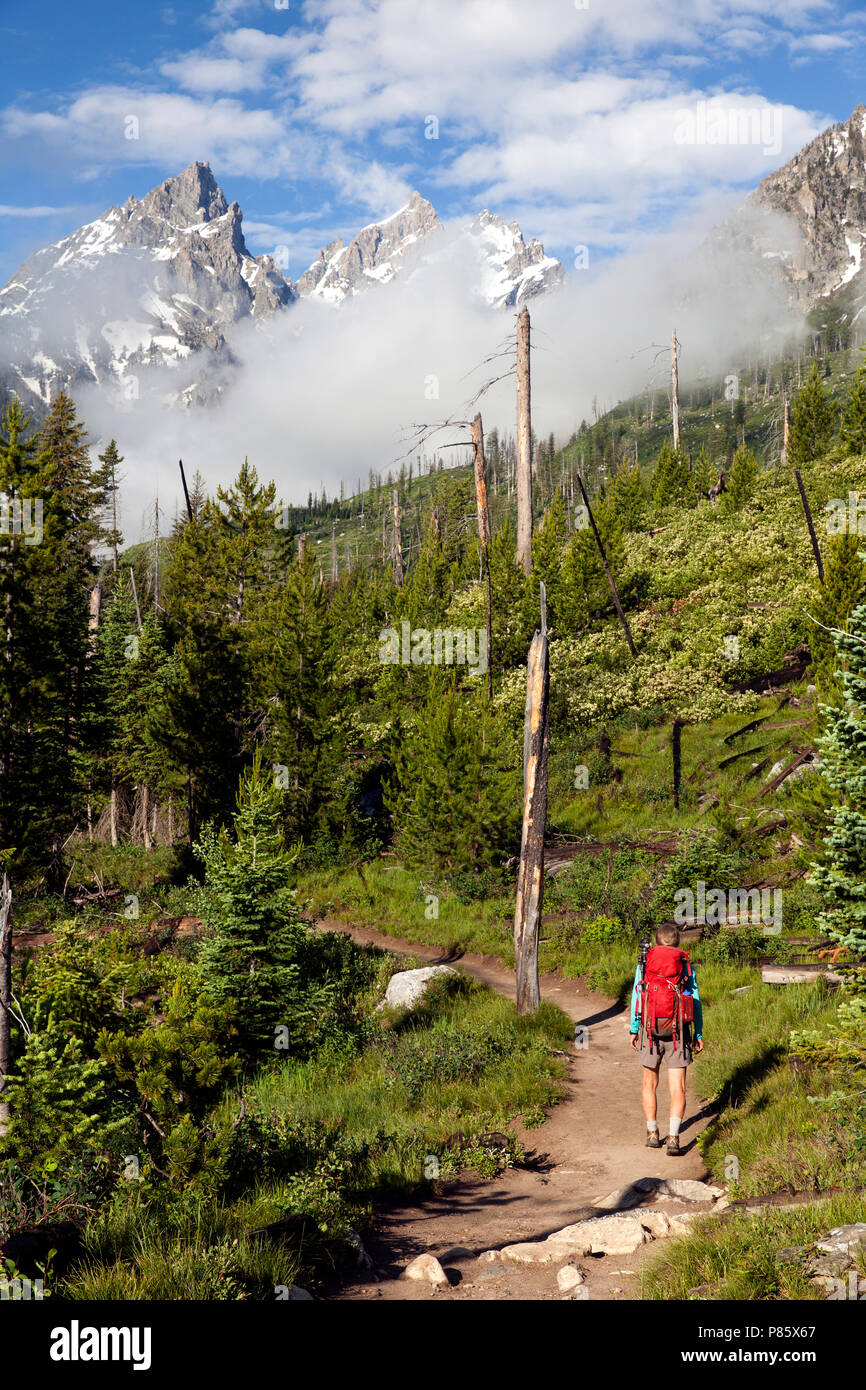 WY02767-00...WYOMING - Hiker on the Cascade Canyon Trail in Grand Teton National Park. Stock Photo