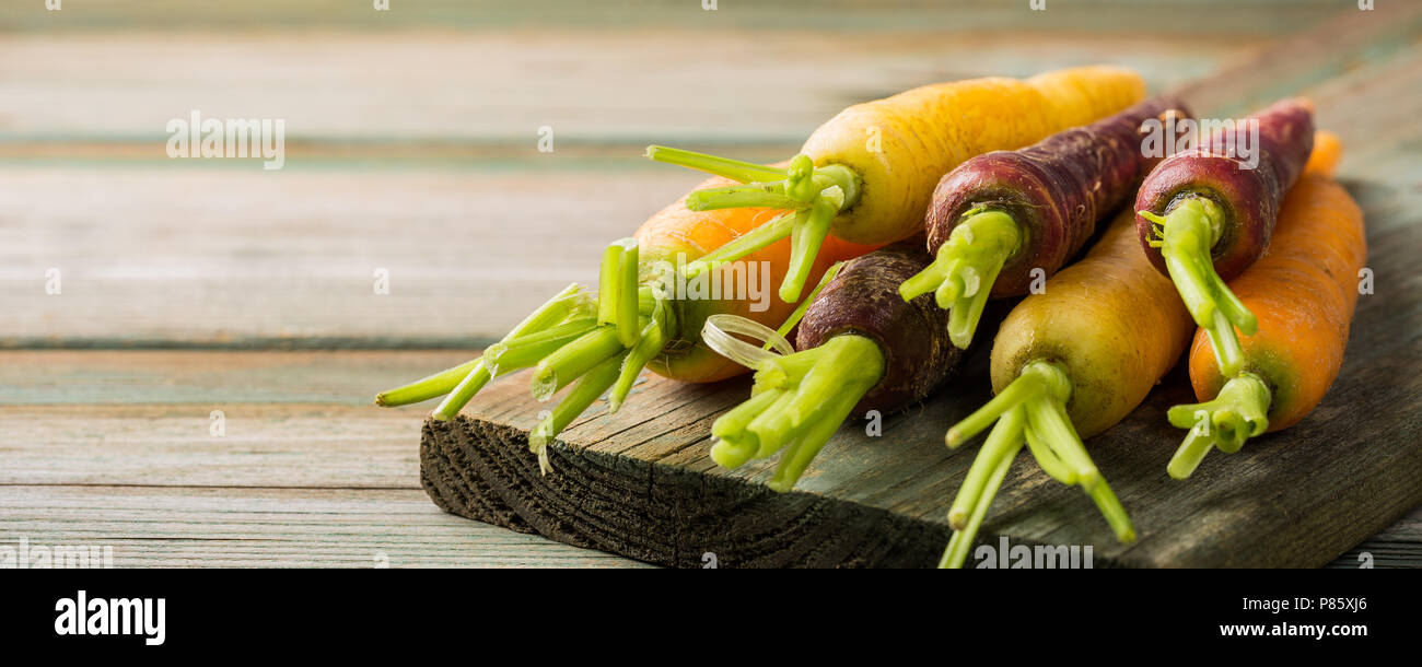 Colorful roots hi-res stock photography and images - Alamy
