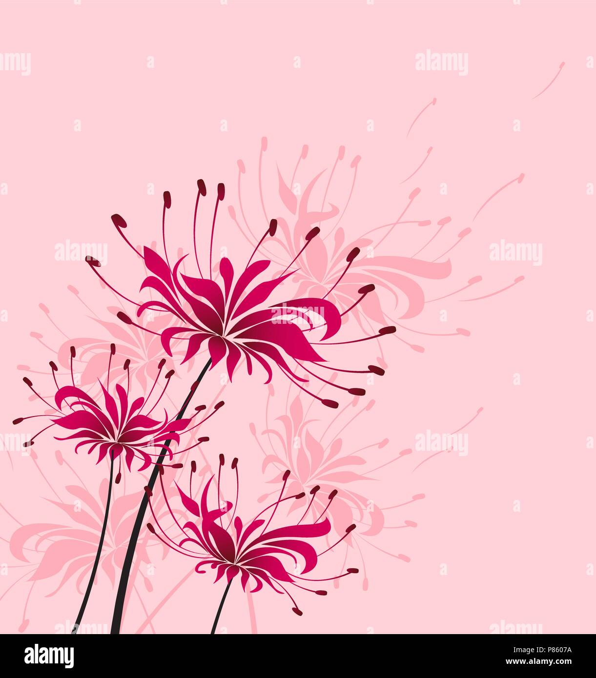 Vector illustration of floral decoration on a pink background, red
