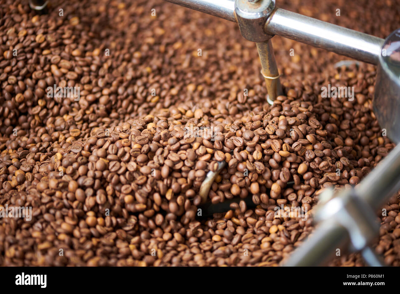 Closeup of creamy brown coffee beans roasting in drum machine of local artisan roastery, copy space background Stock Photo