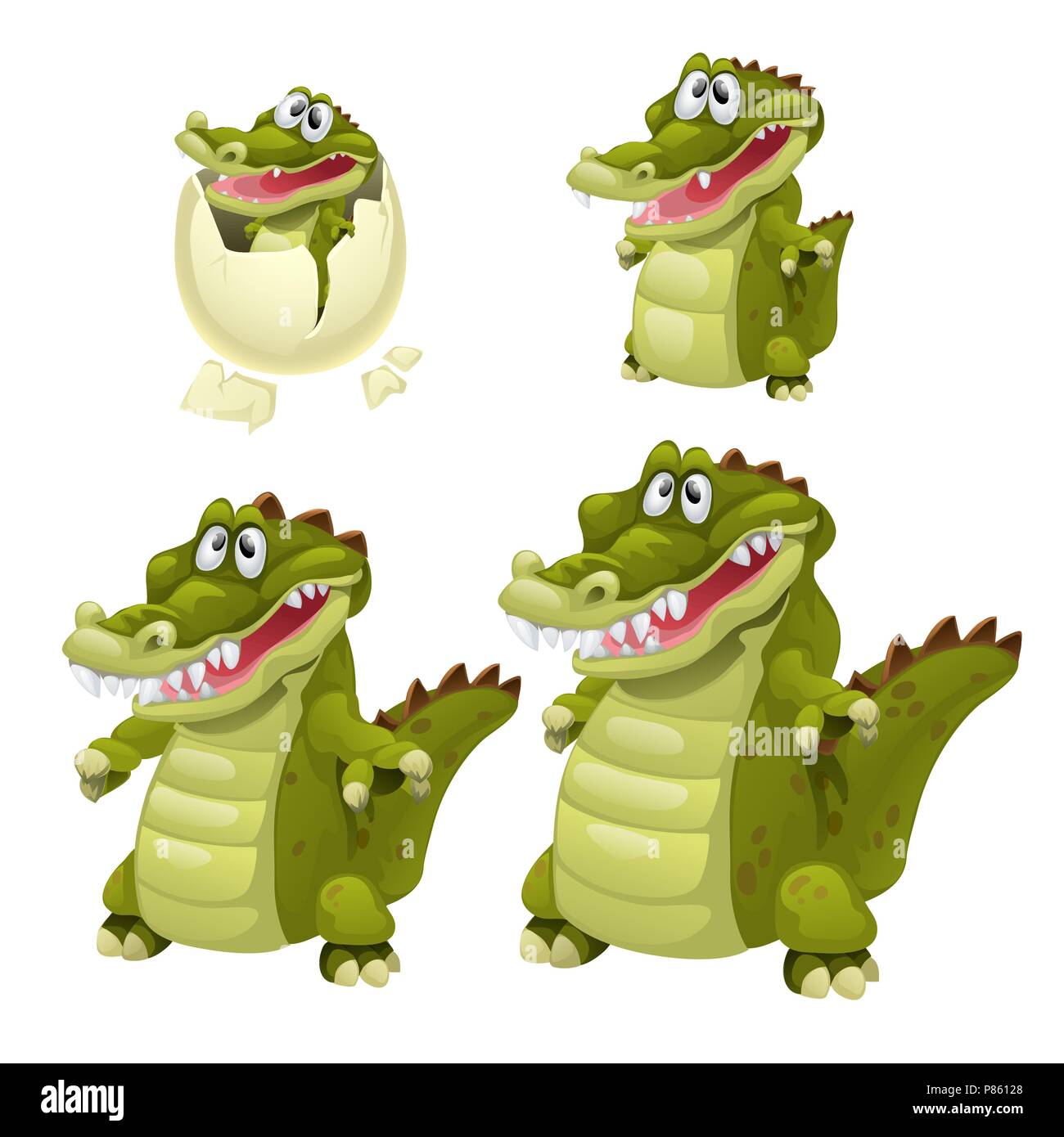Stages of growth and maturation of crocodiles isolated on white background. Vector cartoon close-up illustration. Stock Vector