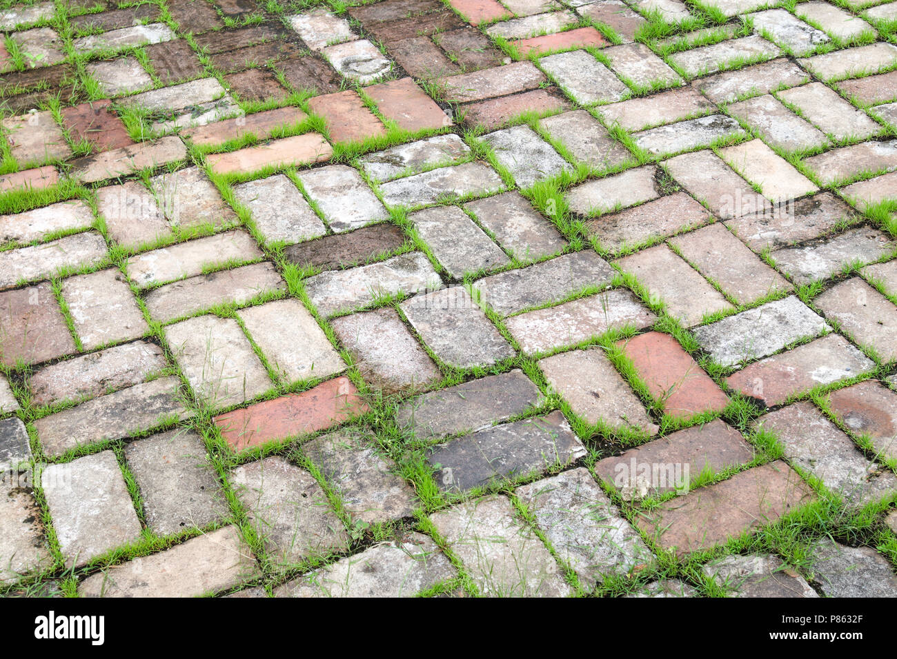 texture of a paving stone track on a green grass Stock Photo - Alamy