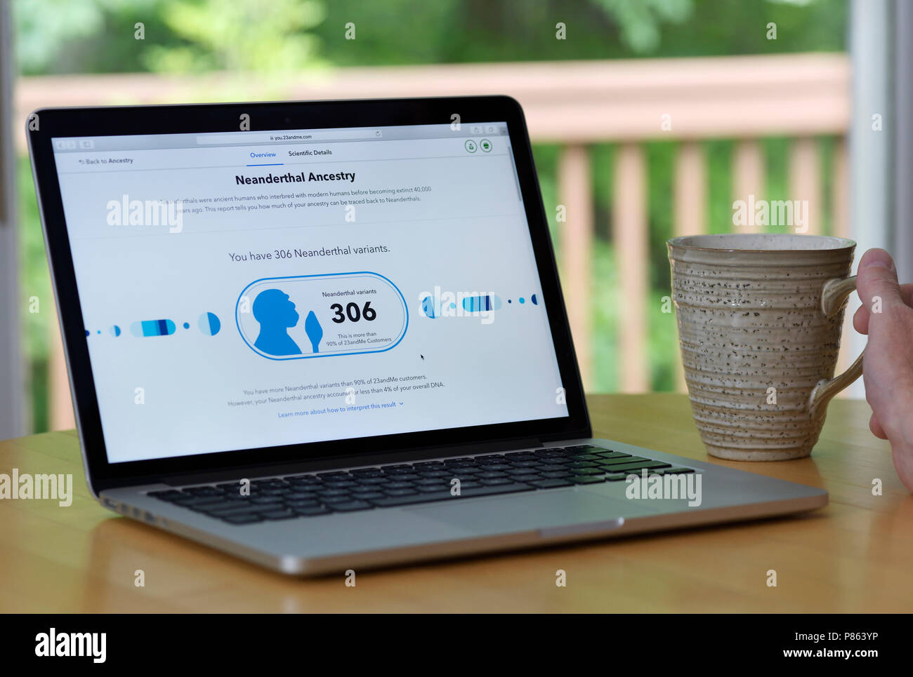 Consumer DNA test results (23andMe) report reveals the number of genetic variants (306) the person shares with Neanderthal ancestors Stock Photo