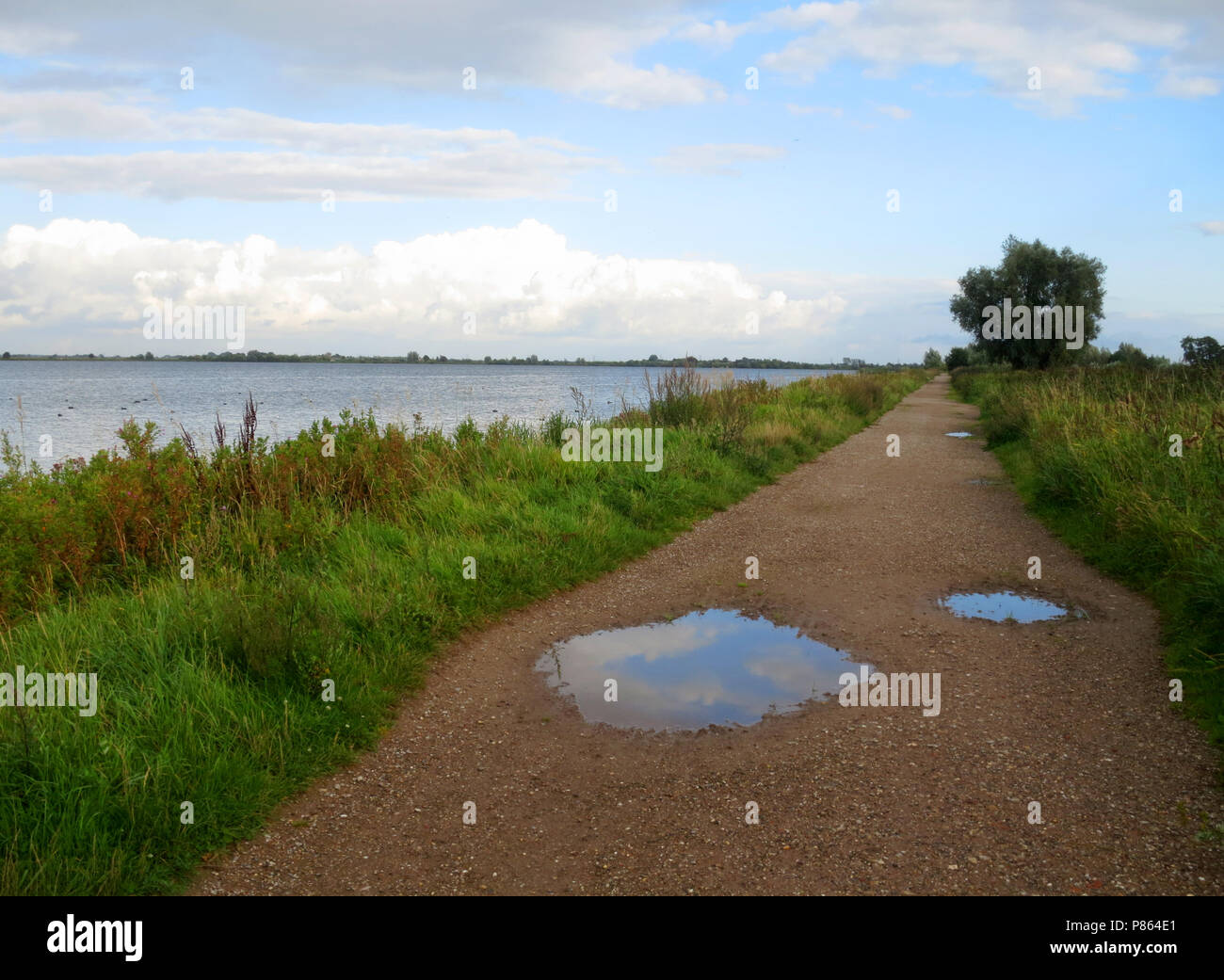Reeuwijkse plassen, Nederland / Netherlands Stock Photo