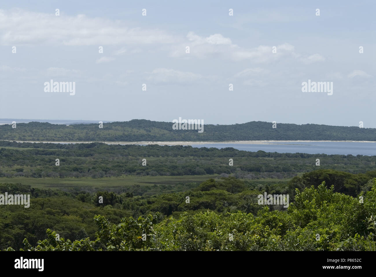 Landscape St Lucia wetland, South Africa Stock Photo