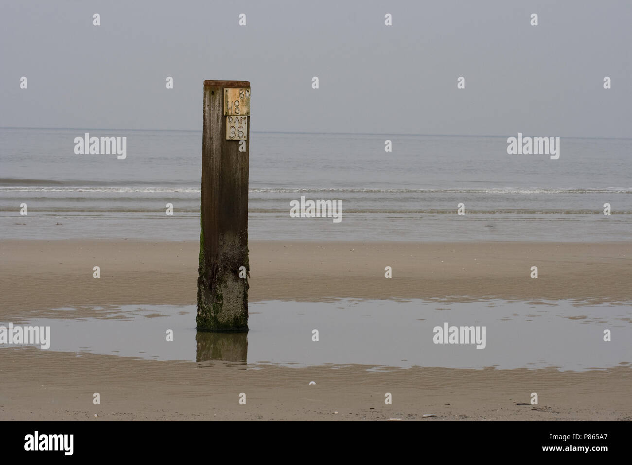 Paal op het strand van Vlieland; Pole on the beach of Vlieland Stock Photo