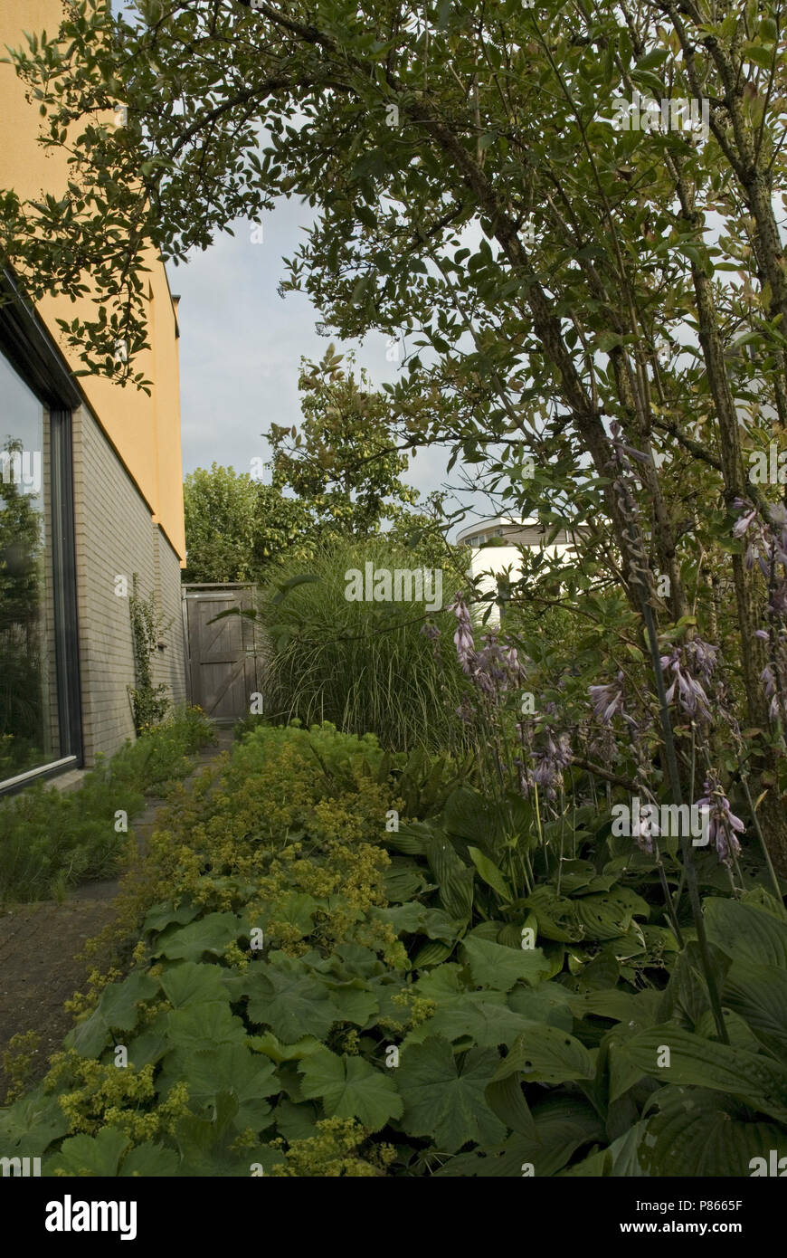 Typical Dutch garden Stock Photo