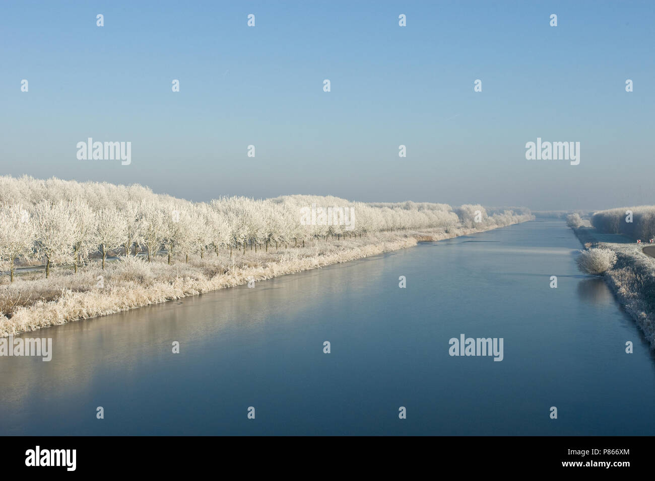 Nature stock image of Dutch winter landscape Stock Photo