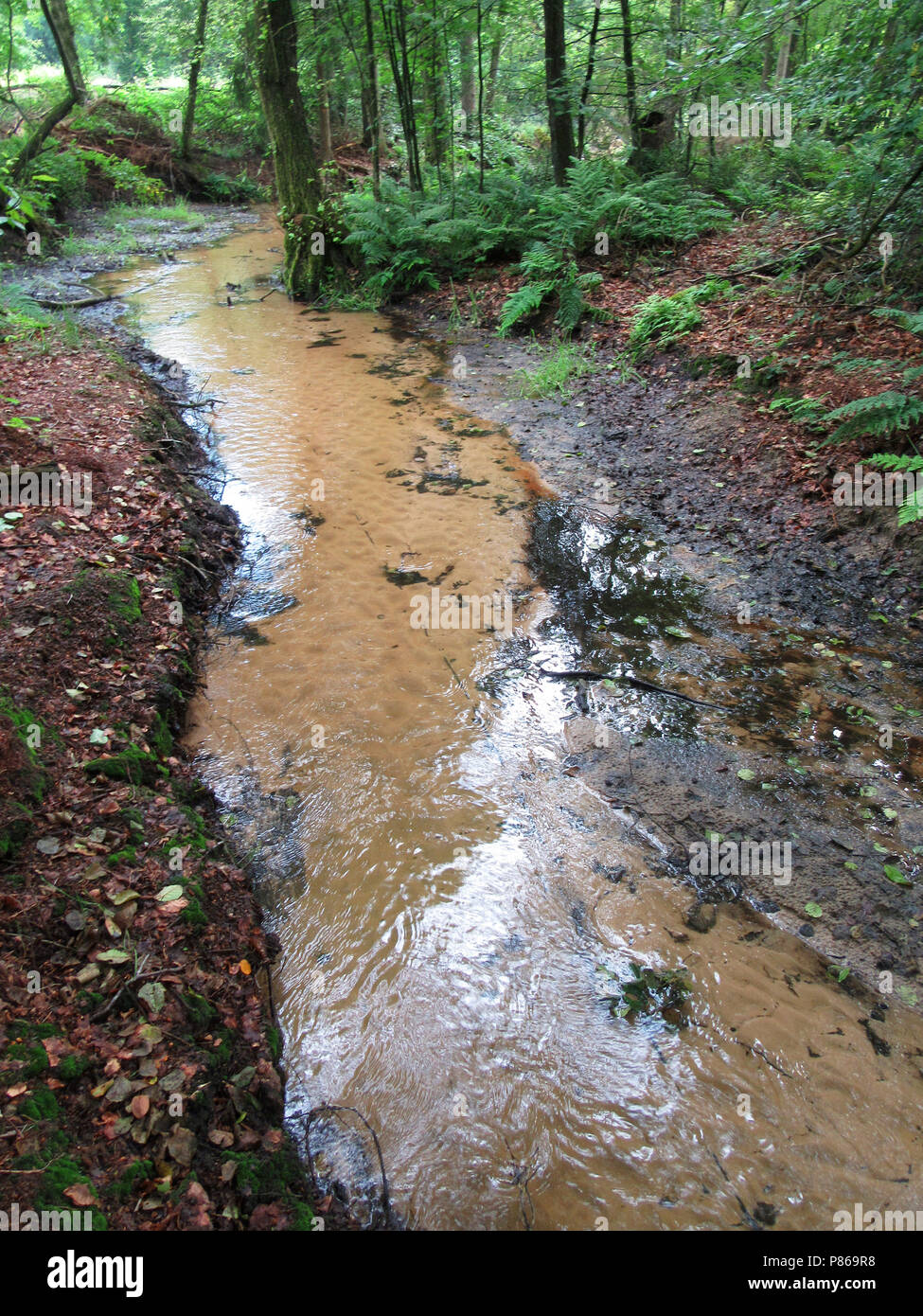 Bronwater hi-res stock photography and images - Alamy