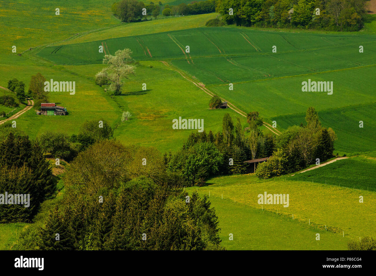Mozaieklandschap in de Eifel, Mosaic landscape in the Eifel, Stock Photo