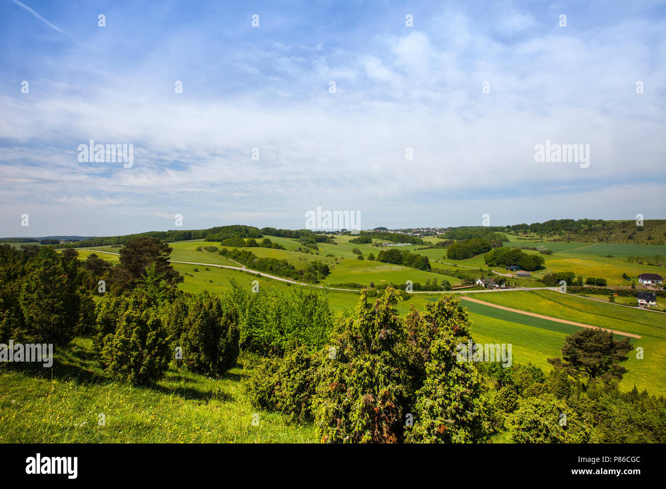 kalkgrasland Eifel, calcareous grassland Eifel Stock Photo