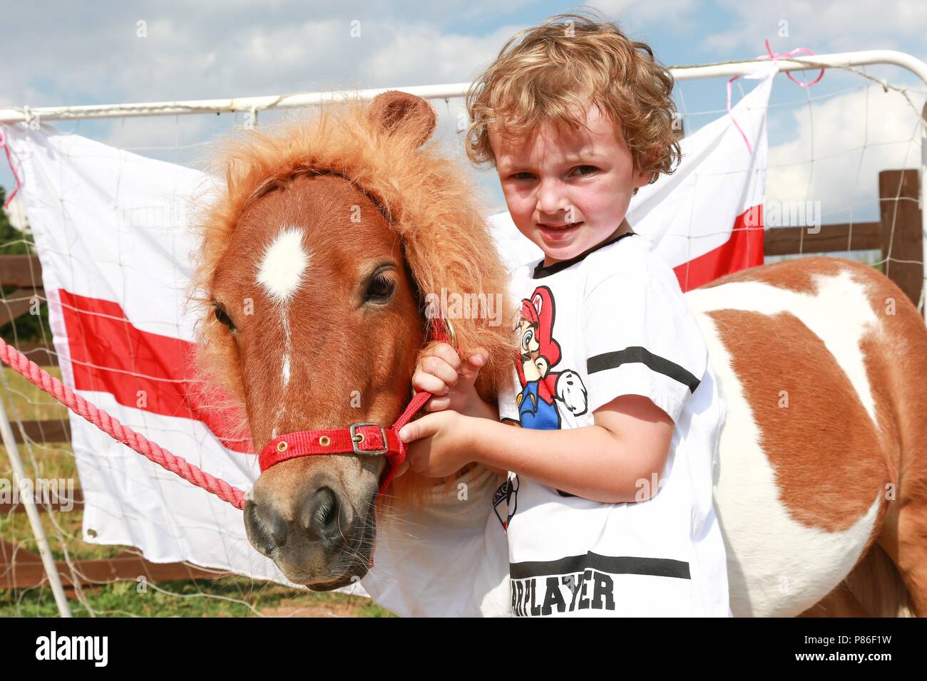 5 year old boy and his shetland pony dressed in England football kit, UK Stock Photo