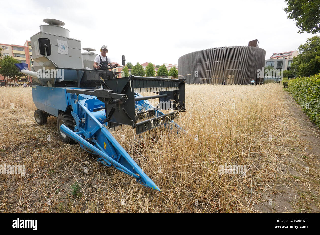 Roggenmutter Roggenernte hi-res stock photography and images - Alamy