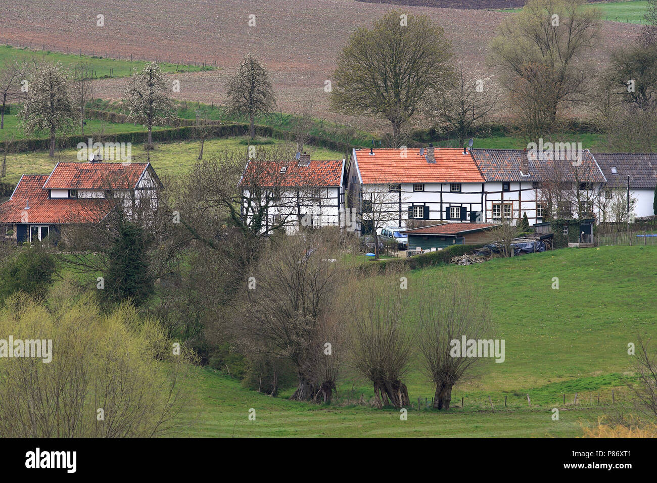 Landschap Limburg; Landscape Limburg Stock Photo